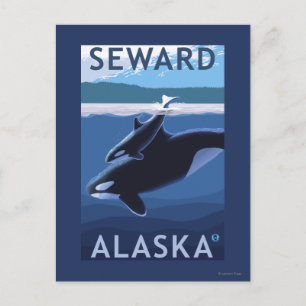 Carte Postale Seward, AlaskaOrca et Calf Scene