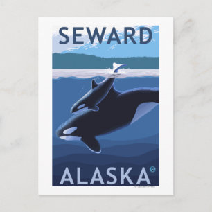 Carte Postale Seward, AlaskaOrca et Calf Scene
