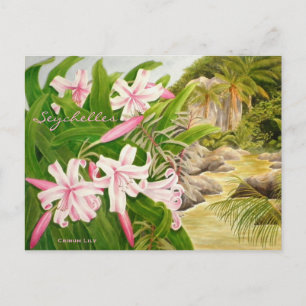 Carte Postale Seychelles Lily