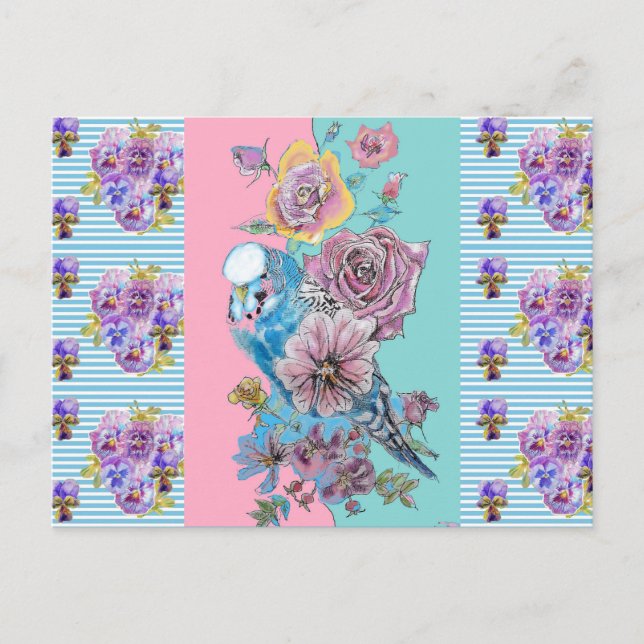Carte postale Shabby Chic Budgie Pastel Blue Strip (Devant)