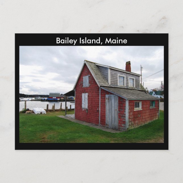 Carte Postale Shack de homard, île Bailey, Maine (Devant)