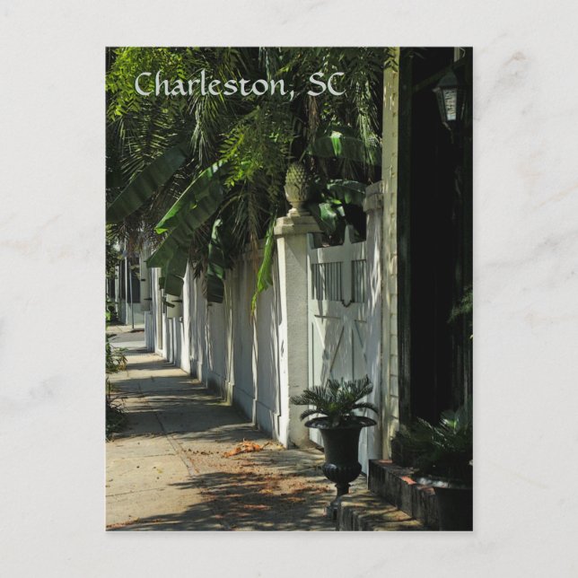 Carte postale Shady Charleston (Devant)