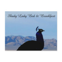 Carte postale Shady Lady Bed & Breakfast