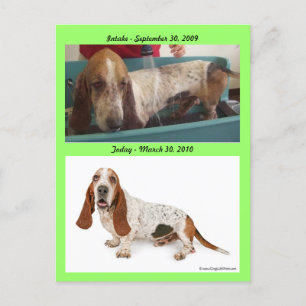 Carte Postale Shammy_Landscape, Shammy2, prise - 3 septembre…