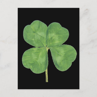 Carte Postale Shamrock à quatre feuilles Lucky