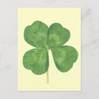 Shamrock à quatre feuilles Lucky