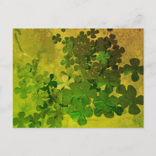 Carte Postale Shamrock de la Saint-Patrick (Devant)