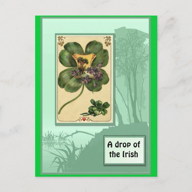 Carte Postale Shamrock irlandais (Devant)