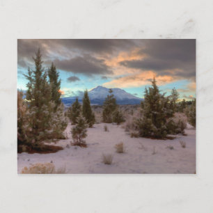 CARTE POSTALE SHASTA SLELEISE