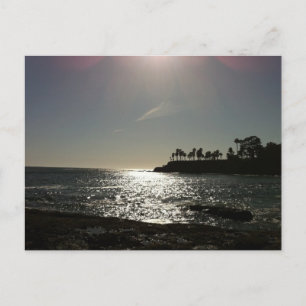 Carte postale Shaw's Cove
