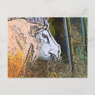 CARTE POSTALE SHEEP