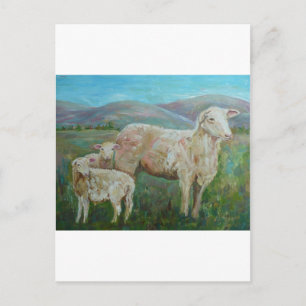 Carte Postale Sheep painting