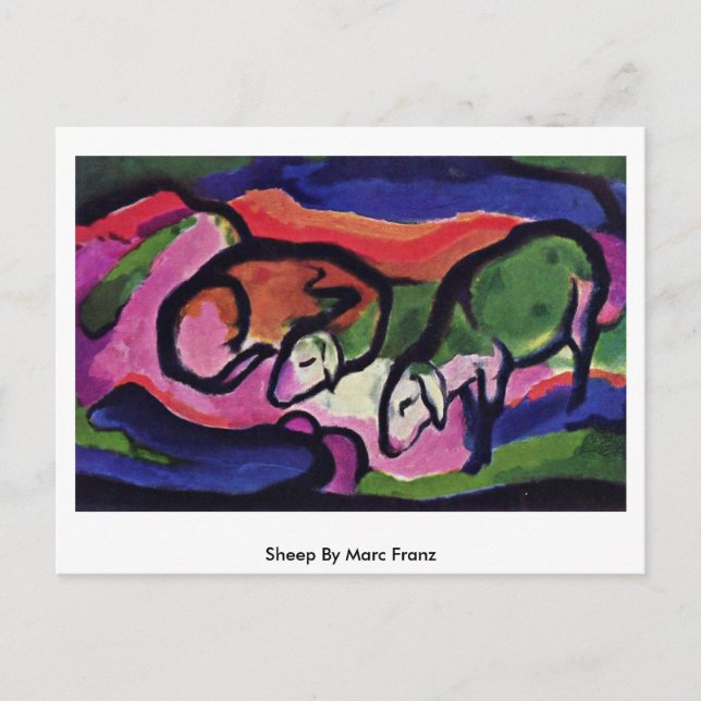 Carte Postale Sheep Par Marc Franz (Devant)