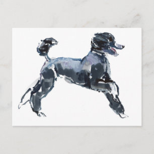 Carte Postale Sheer Class 2013