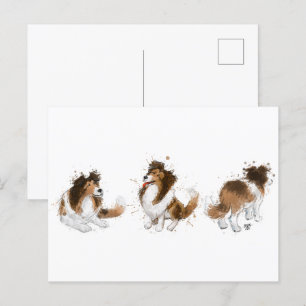 Carte Postale Sheldon the Sheltie Trois Poses