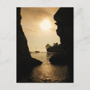 Carte Postale Shell Beach