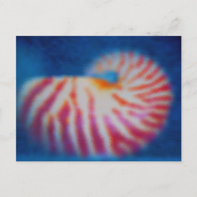 Carte Postale Shell maritime (Devant)