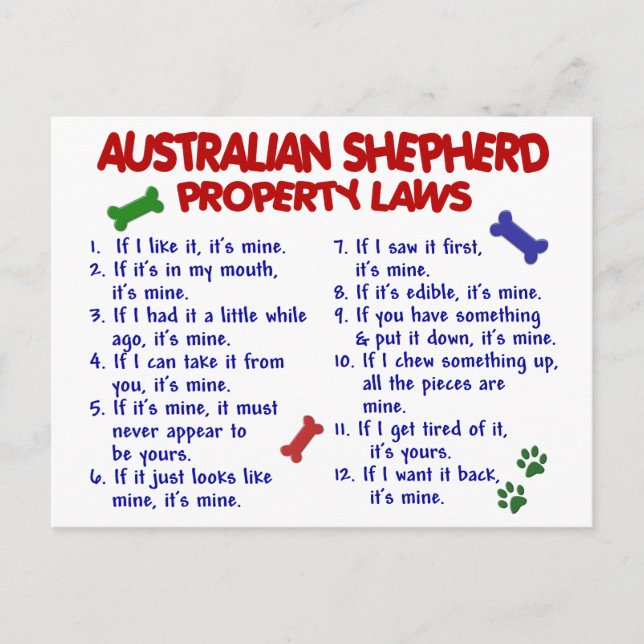 Carte Postale SHEPHERD AUSTRALIEN Lois sur la propriété 2 (Devant)