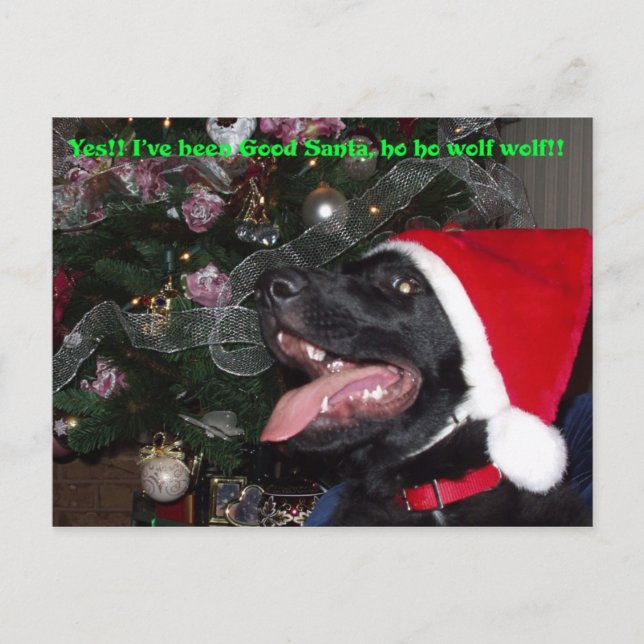 Carte postale Shepherd xmas (Devant)