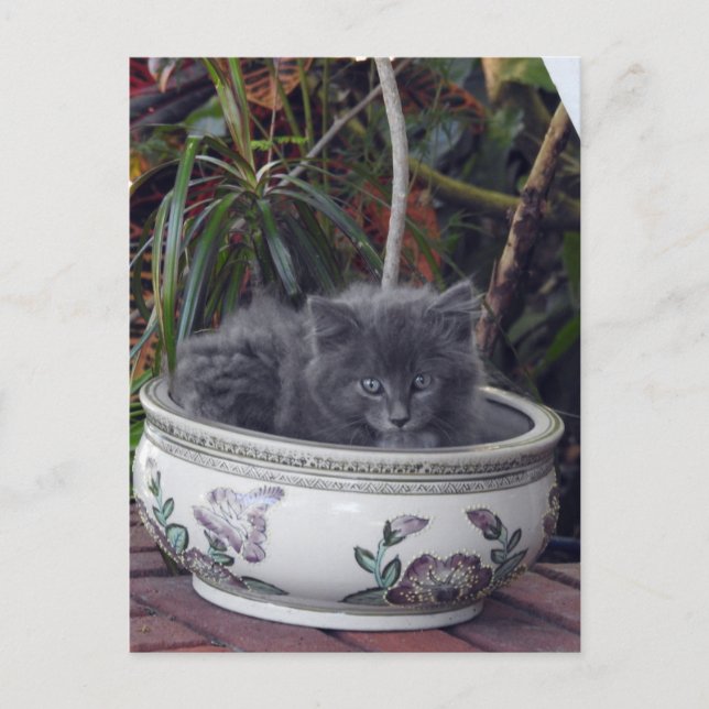 Carte Postale Sherlock Poted (Devant)