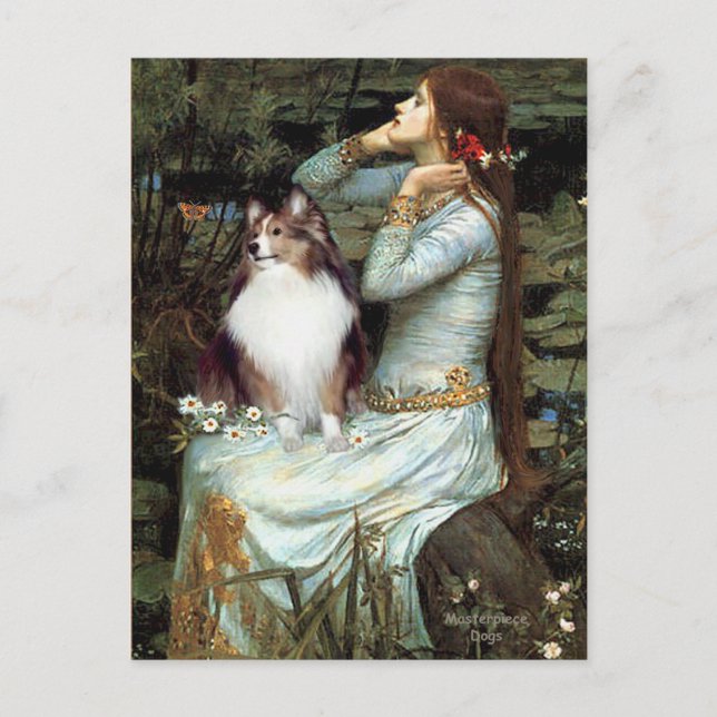 Carte Postale Shetland Sheepdog 18 - Ophelia Siège (Devant)