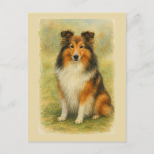 Carte Postale Shetland Sheepdog Assis Aquarelle