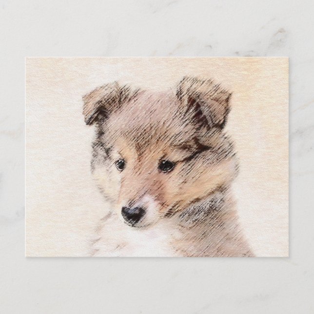 Carte Postale Shetland Sheepdog Puppy Peinture Chien original ar (Devant)