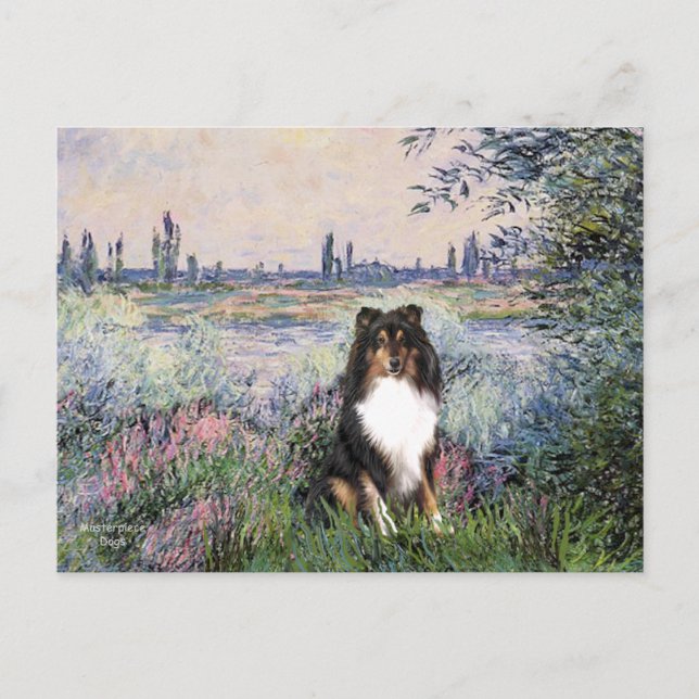 Carte Postale Shetland Sheepdog (Tri) - Sur la Seine (Devant)
