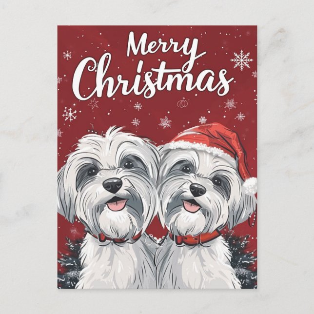 Carte Postale Shi Tzu Joyeux Noël (Devant)