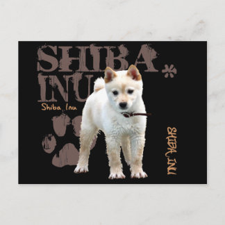 Carte Postale Shiba Inu