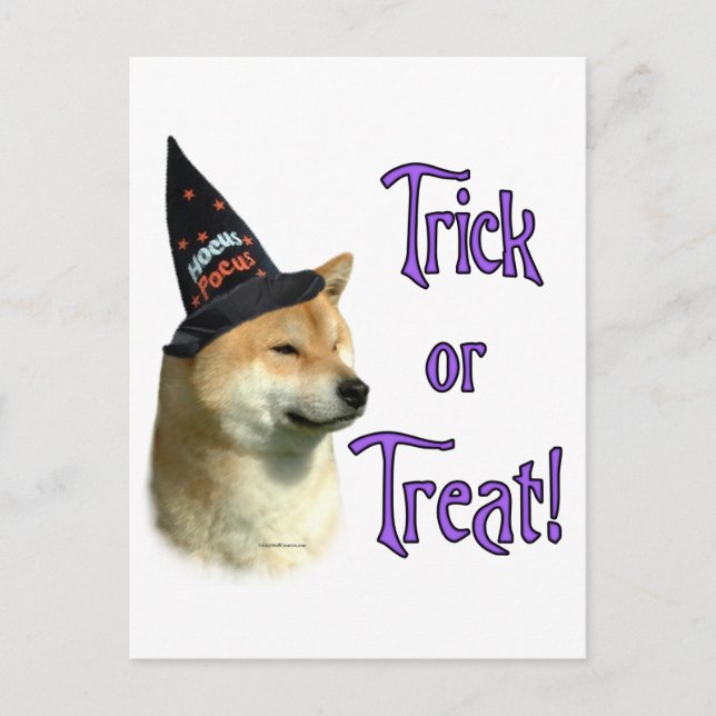Carte Postale Shiba Inu Trick (Devant)