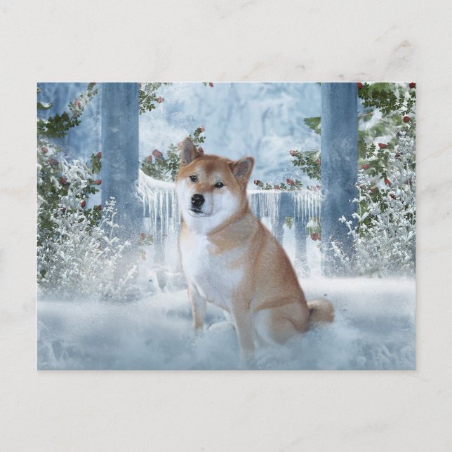 Carte postale Shiba Inu Winter (Devant)