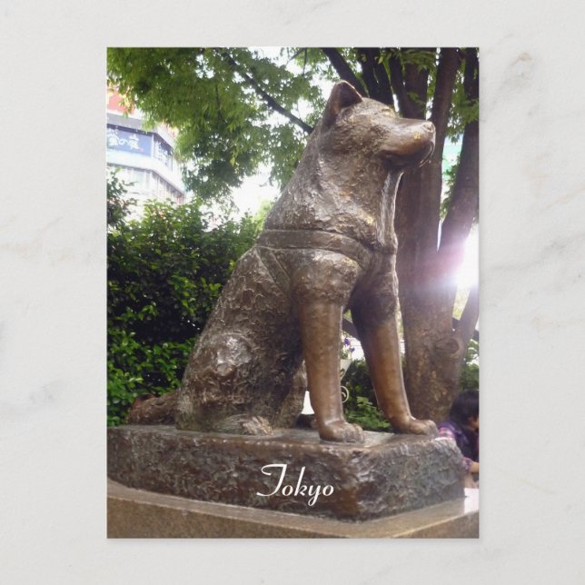 Carte Postale shibuya hachiko (Devant)