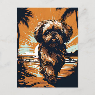 Carte Postale Shih-tzu à la plage