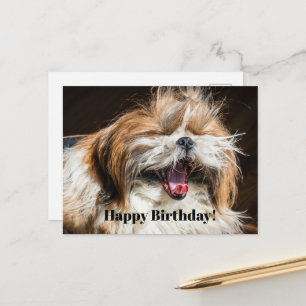 Carte Postale Shih tzu bâillant en riant drôle Joyeux anniversai