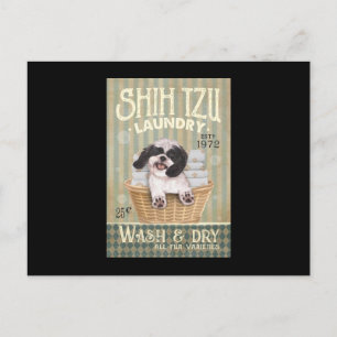 Carte Postale Shih Tzu Chien Blanchisserie mignonne Chih Tzu Vie