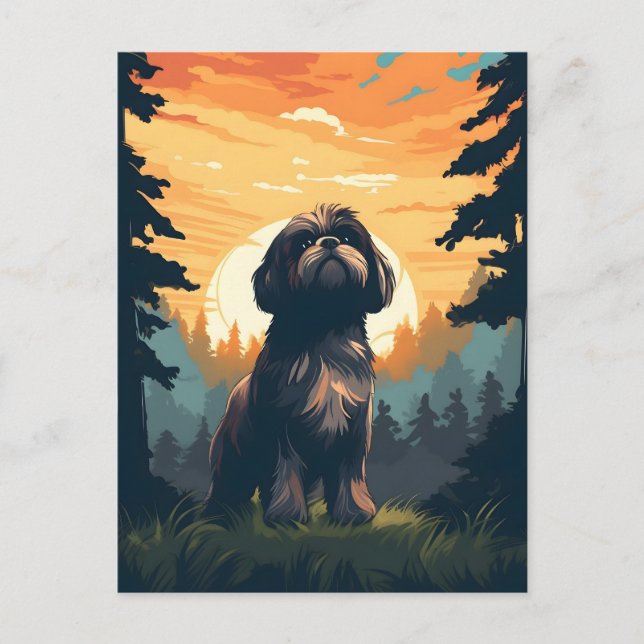 Carte Postale Shih Tzu en forêt au coucher du soleil (Devant)