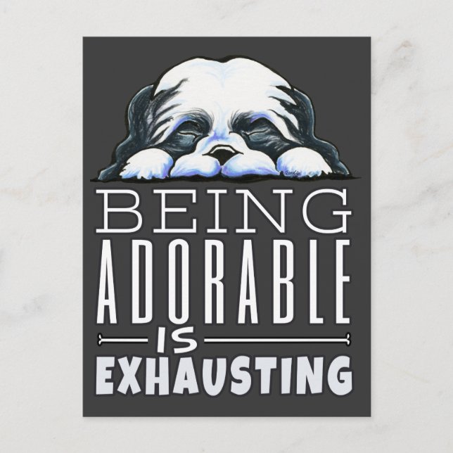 Carte Postale Shih Tzu Être adorable (Devant)