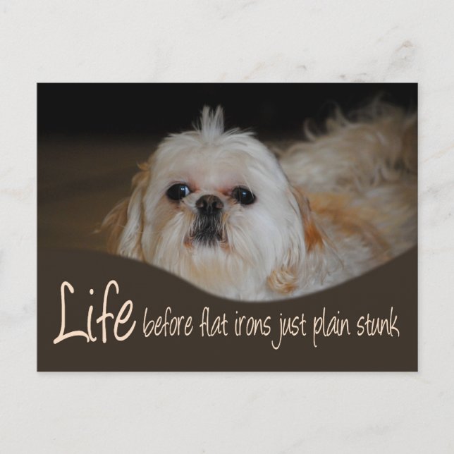 Carte postale Shih Tzu Flat Fer Humour cheveux (Devant)