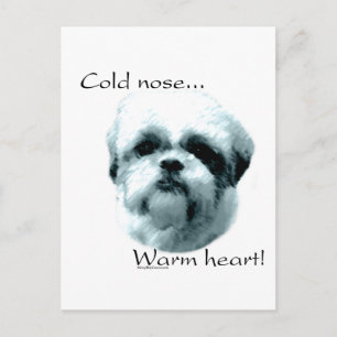 Carte Postale Shih Tzu Froid Nez Chaud Coeur
