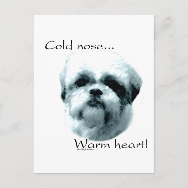 Carte Postale Shih Tzu Froid Nez Chaud Coeur (Devant)
