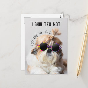 Carte Postale Shih Tzu Pas amusant mignon amoureux de les chiens
