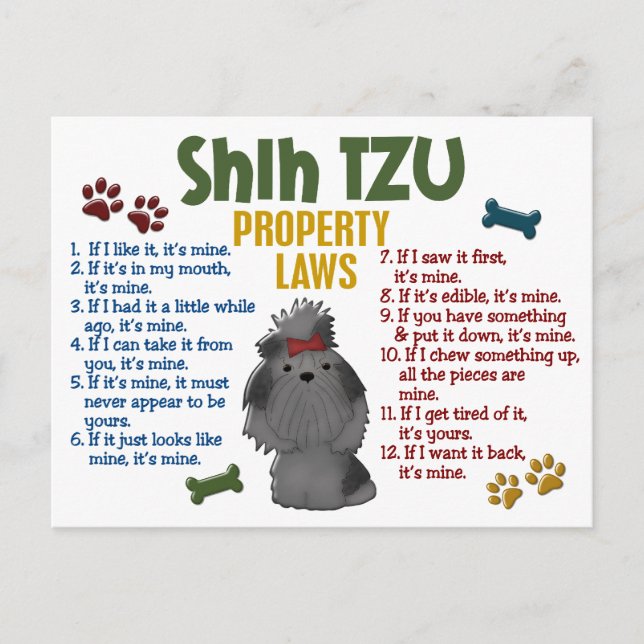 Carte Postale Shih Tzu, propriété Lois 4 (Devant)