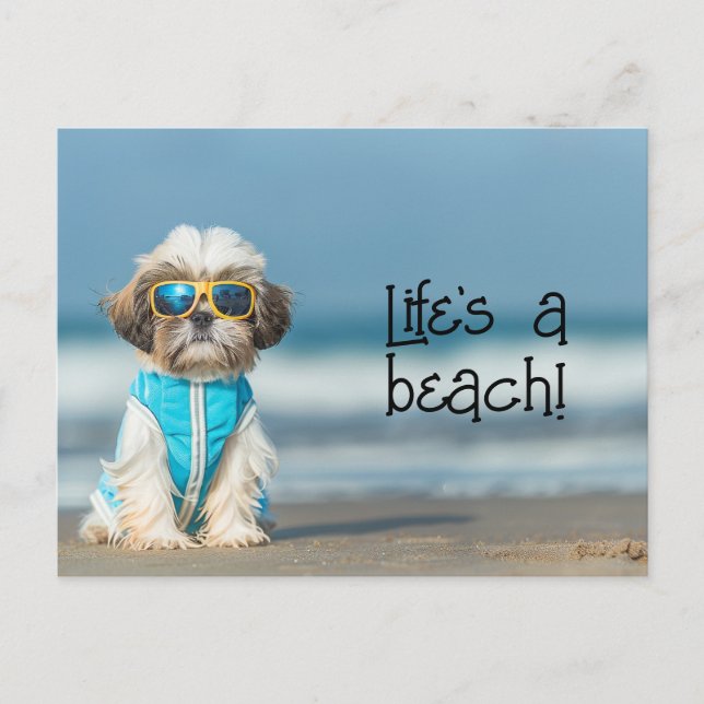 Carte Postale Shih Tzu Puppy portant des lunettes de soleil (Devant)