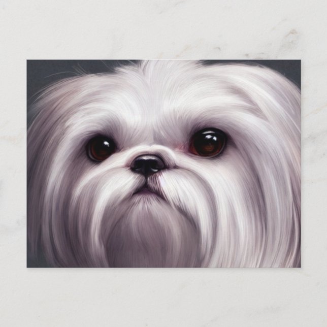 Carte postale Shih Tzu Salutations (Devant)