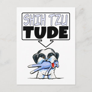 Carte Postale Shih Tzu Tude
