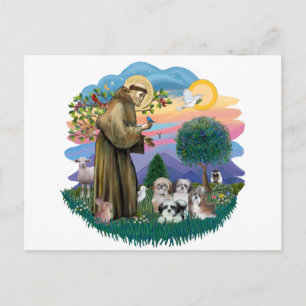 Carte Postale Shih Tzus (quatre)