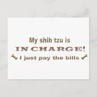Carte Postale shihtzu