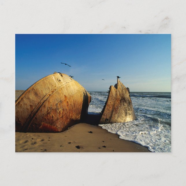 Carte Postale Shipwreck On Beach, Skeleton Coast, Namibie (Devant)