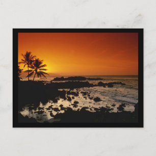 Carte Postale Shore Oahu Hawaii